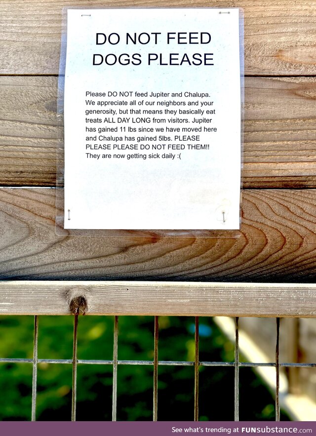 Do not feed dogs please