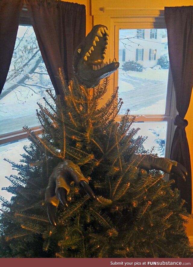 A few years ago, my husband and I ran out of time to decorate our tree. A quick look in