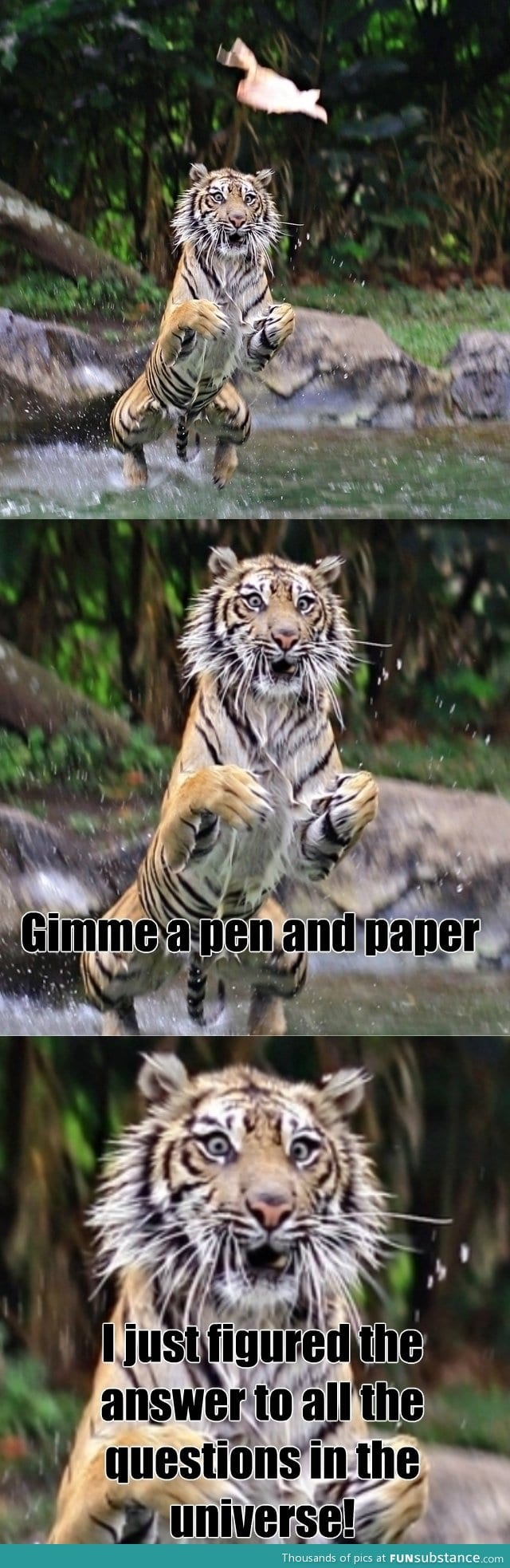 Mid-Air illumination tiger