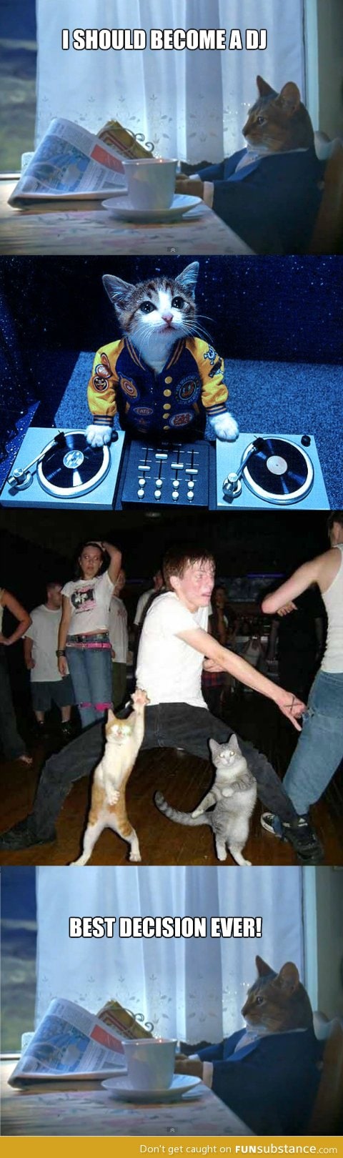 Wealthy cat becomes a dj
