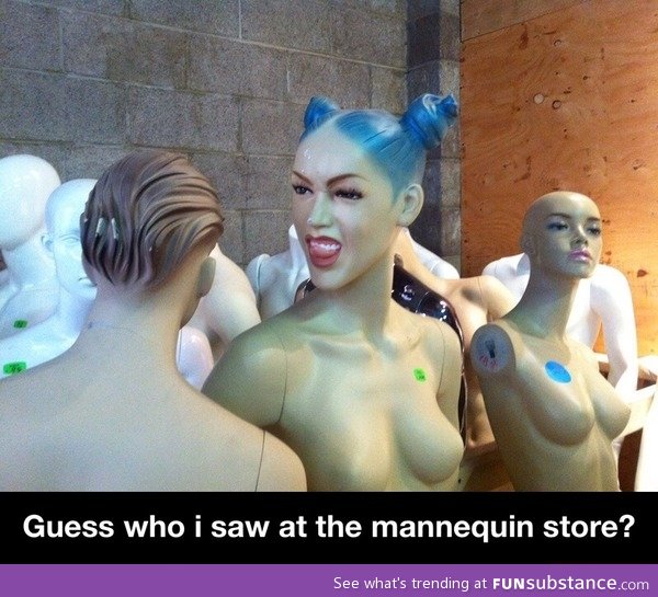 Mannequin store