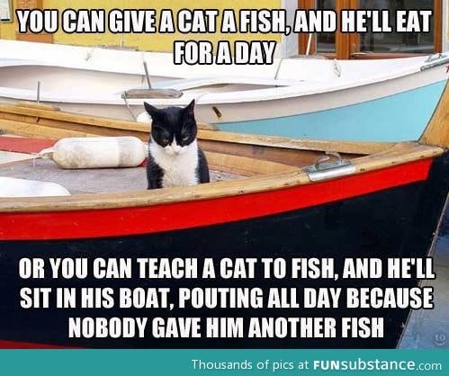 Give a cat a fish