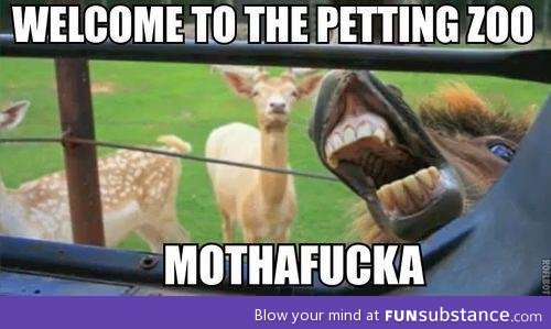 Petting zoo