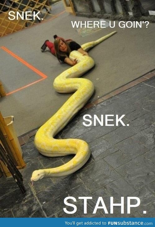 Oh no snek