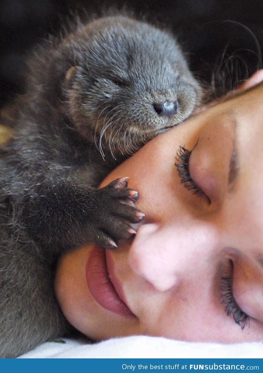 This is her significant otter