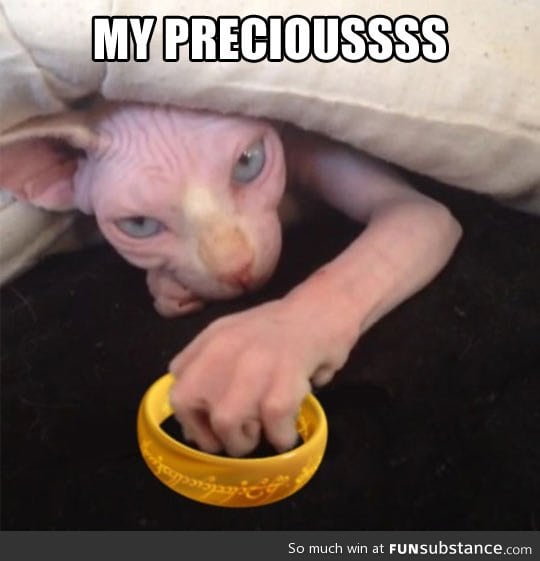 Gollum cat