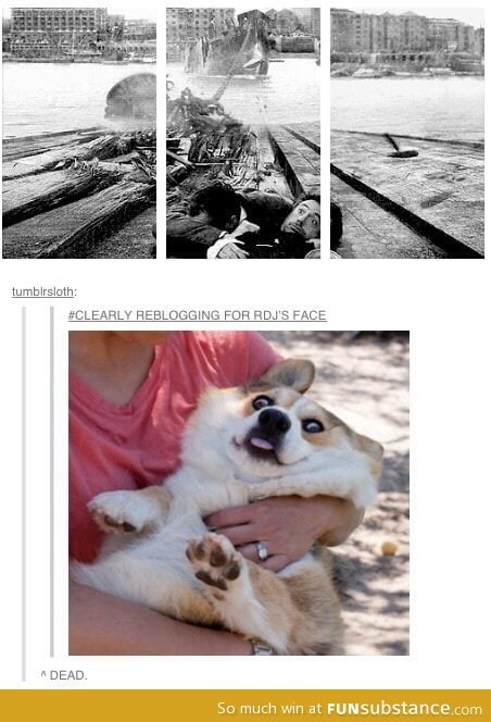 They look the same