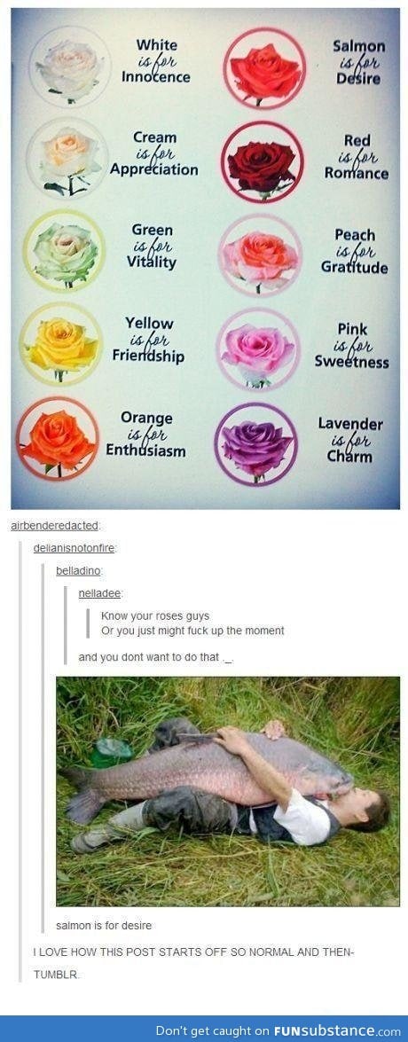 What rose color means