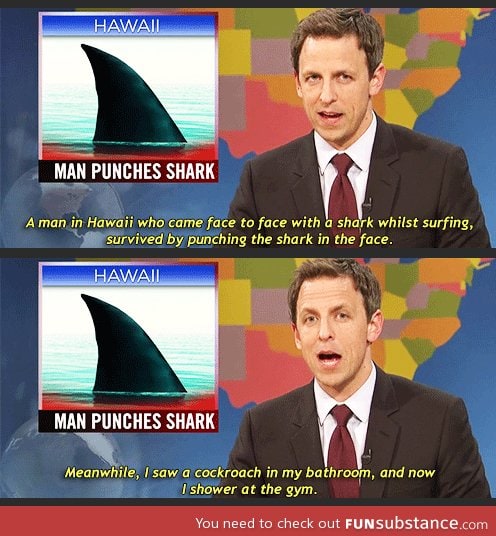 Man punches shark