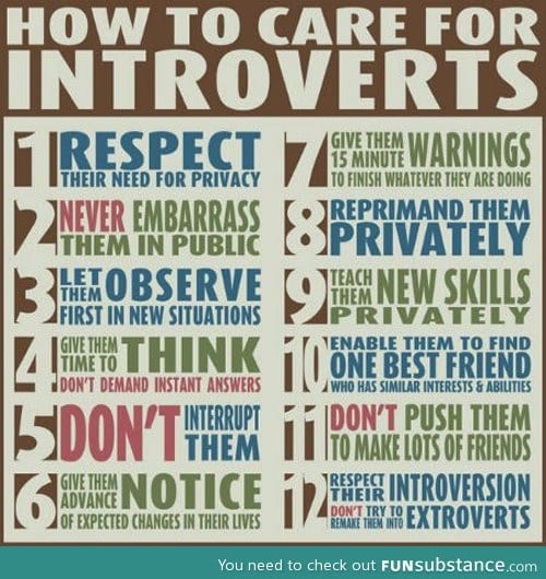 How to take care for introverts