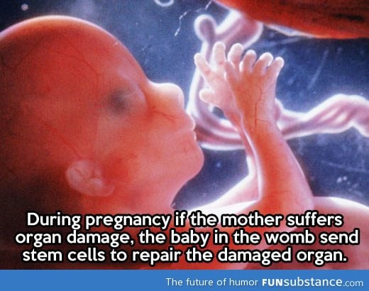 Good guy fetus