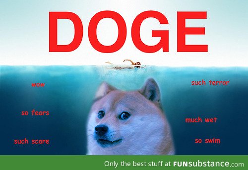 Doge