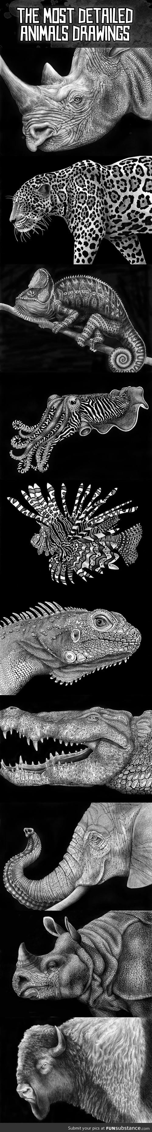 The most detailed animal drawings…