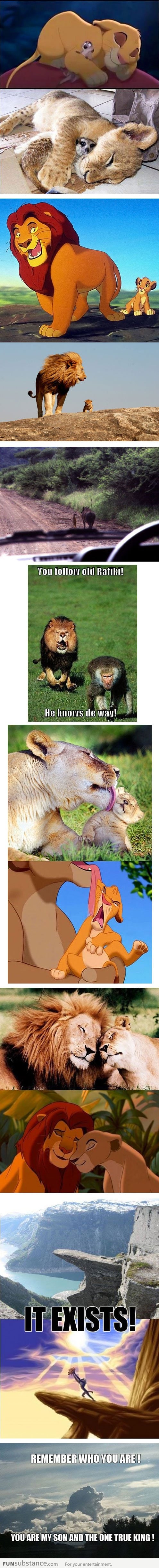 The Lion King in real life