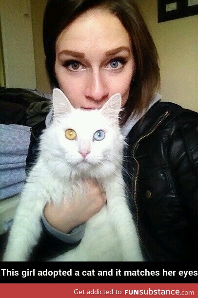 Matching eyes