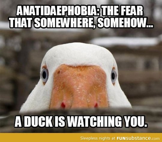 Anatidaephobia