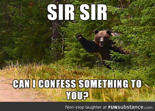 Confession Bear is getting desperate!