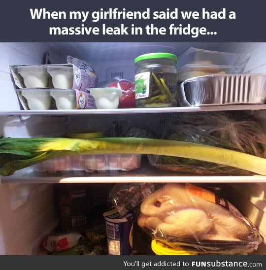 Massive leak in the fridge