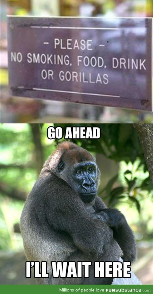 No gorillas