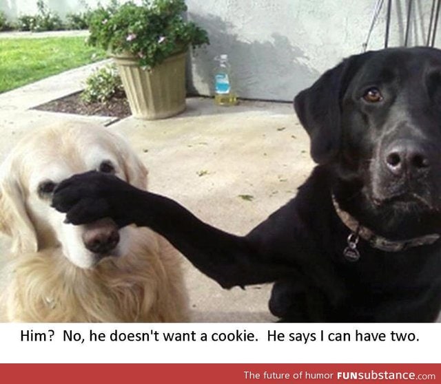 Oh him .. Yeah he doesn't want a cookie