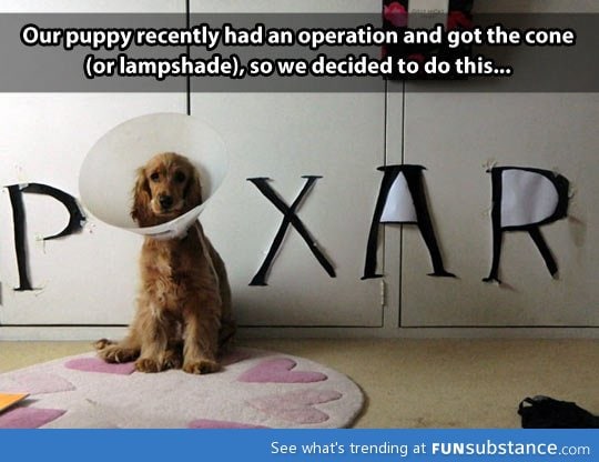 Pixar dog