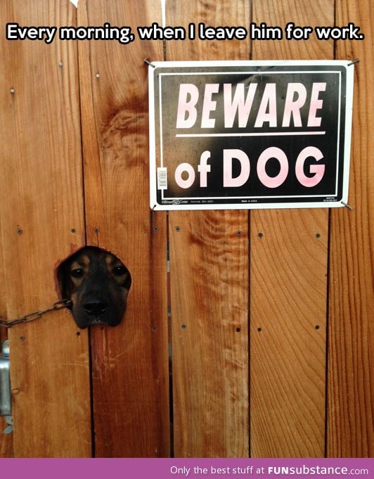 Beware of the cuteness