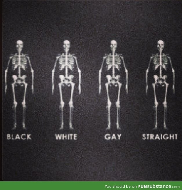 We're All The Same Underneath...