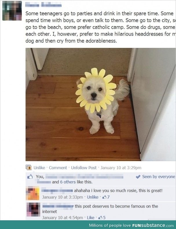 headdresses for dogs