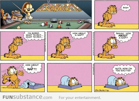 Garfield wants a nap