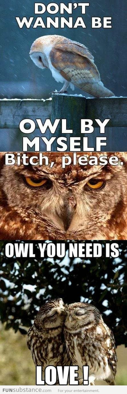 Owl by myself...