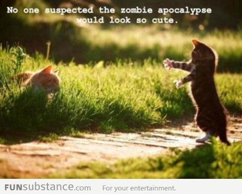 Zombie Kitty