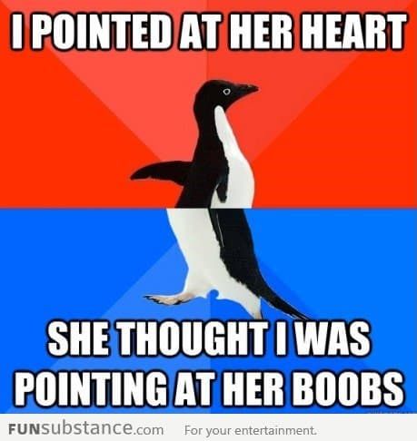 Socially awkward Penguin Strikes