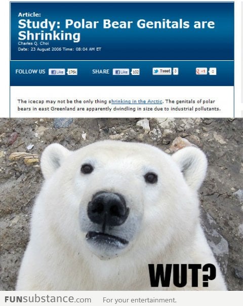 Bad news for polar bears