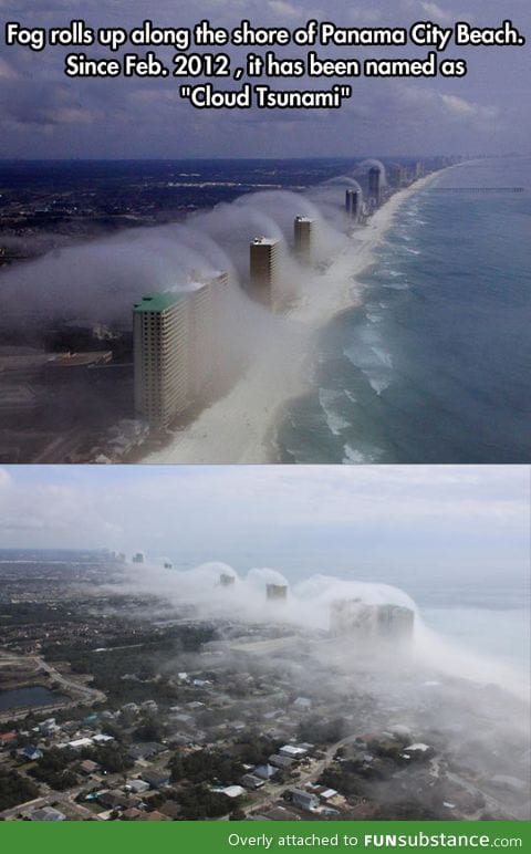 Shore of Panama City Beach