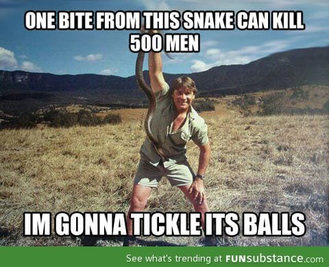 The Steve Irwin philosophy