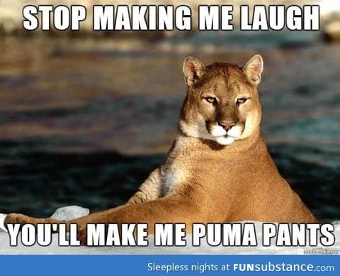 Puma pun