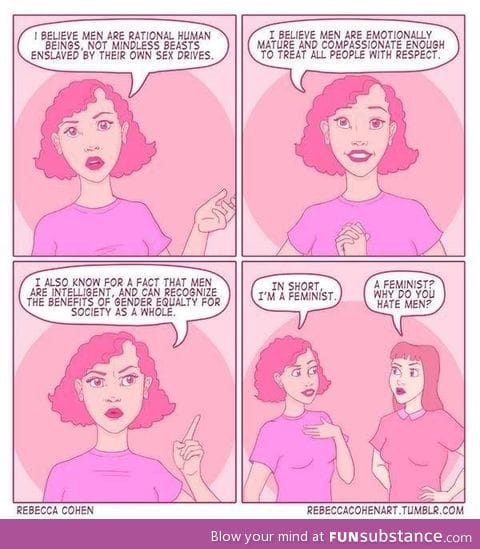 Feminist bashing