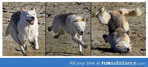 On your mark.. Get set.. GO!