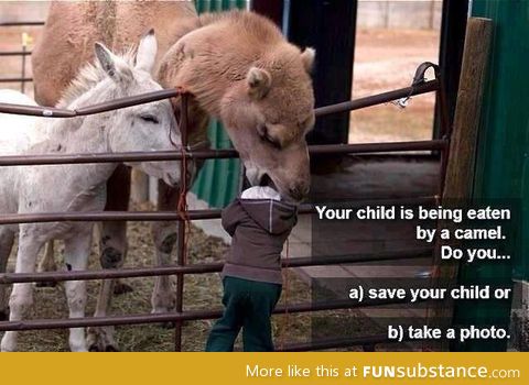 Parents..
