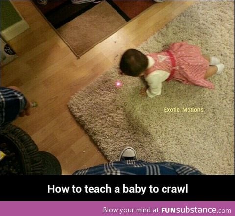Here kitty kitty