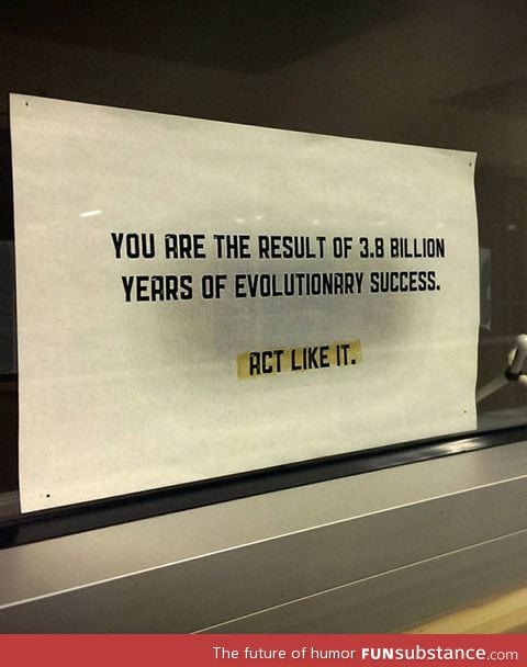 You should be better