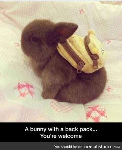 Bunny backpack