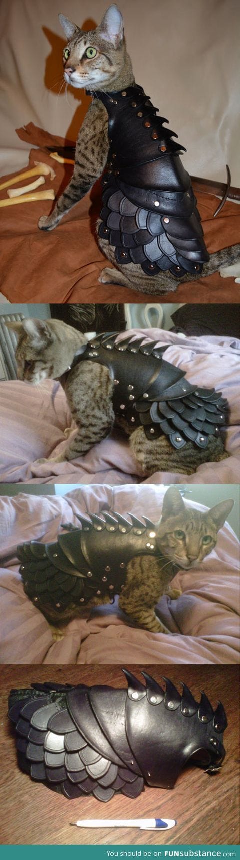 Cat leather armor