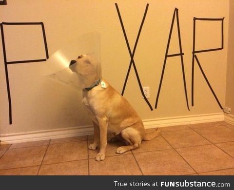 Budget cuts