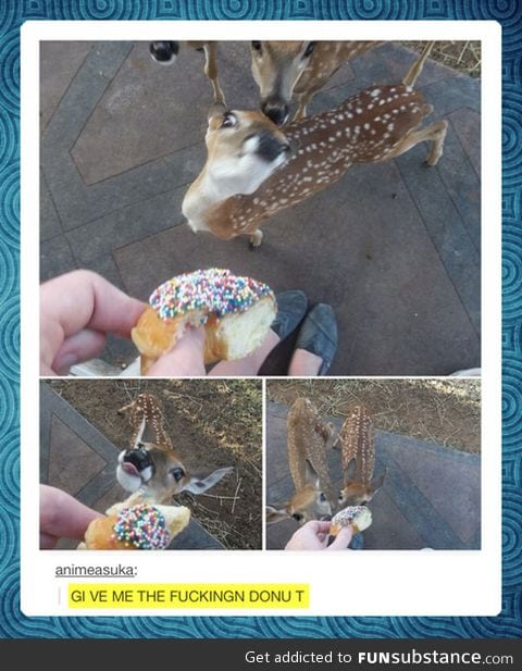 Give us the donuts human
