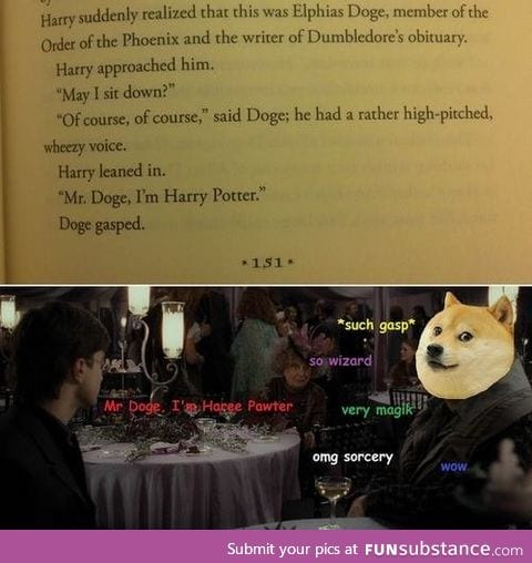 Doge in Harry Potter