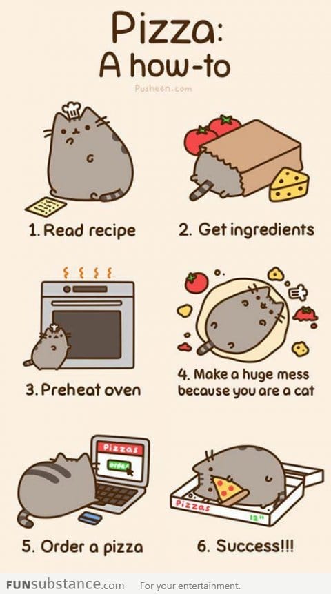 Cat's Guide: How to make pizza