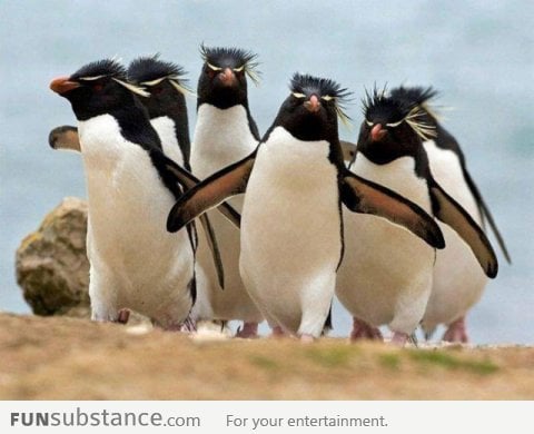 Badass Penguins