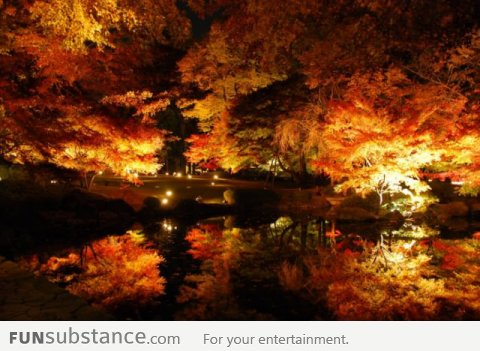 That's why I love Autumn night