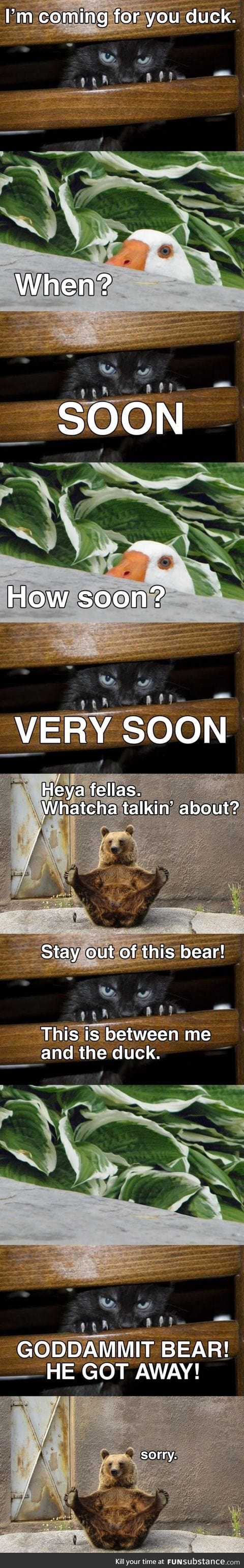 Watch out, duck